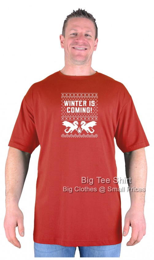 Terracotta Red Big Tee Shirt Storm Approaches T-Shirt