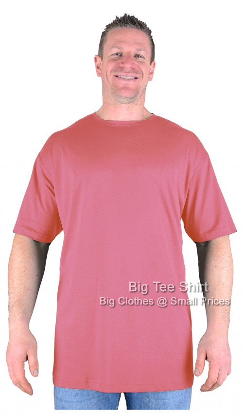 Berry Red Big Tee Shirt PLAIN T-Shirts