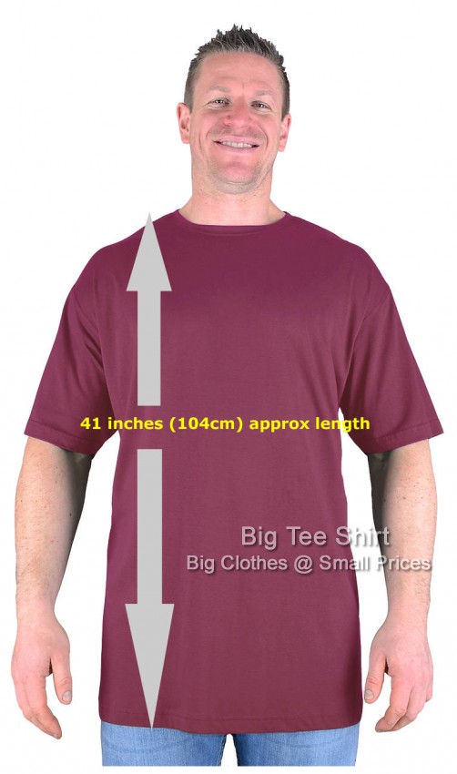 Light Plum Big Tee Shirt Paddy Long Tall TShirt Nightshirt 