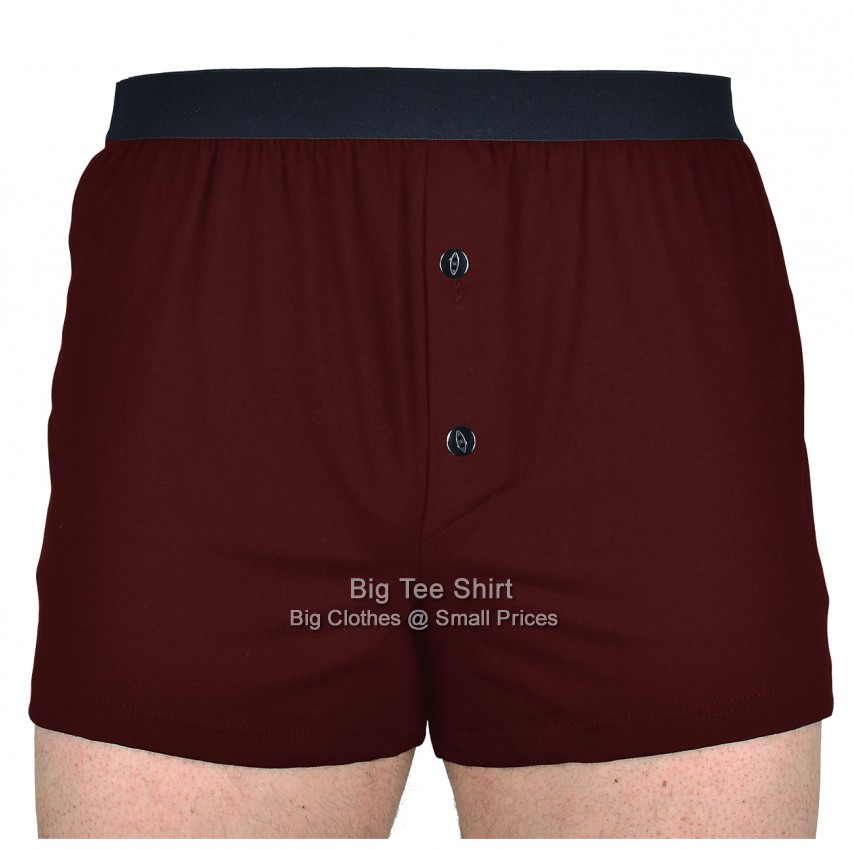 Brown Big Tee Shirt Stretch Boxers