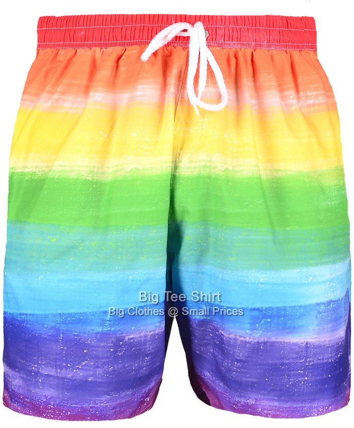 Multi Coloured Brooklyn Spectrum Swim Shorts