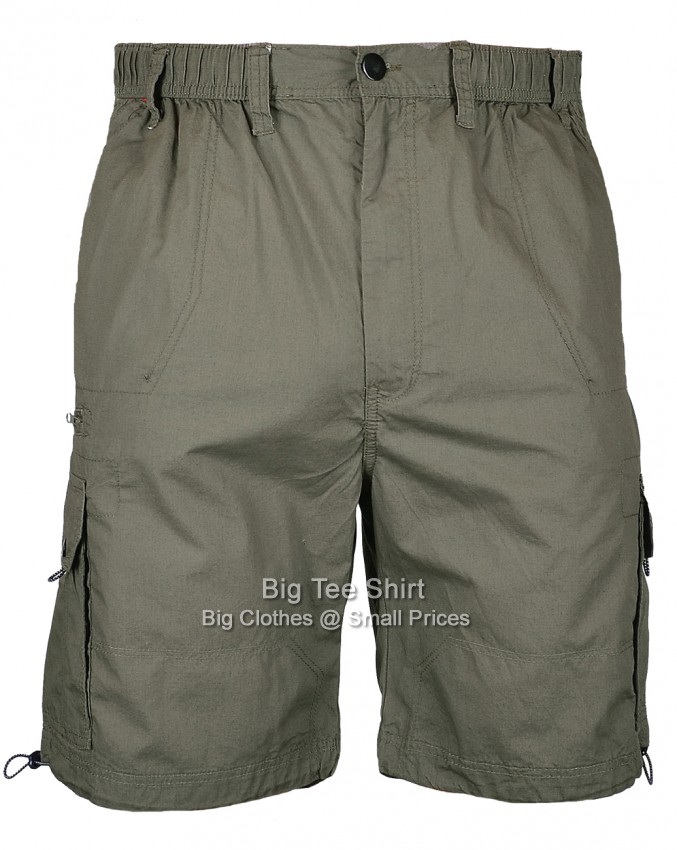 Olive Green Espionage Helm Poplin Cargo Shorts 